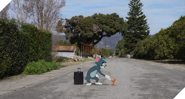 Tom and Jerry: The Movie - Bộ phim live-action về cặp bài trùng huyền thoại 2