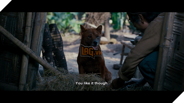 Hé lộ chân dung của Lão Hạc và Cậu Vàng trong phim điện ảnh Cậu Vàng 4