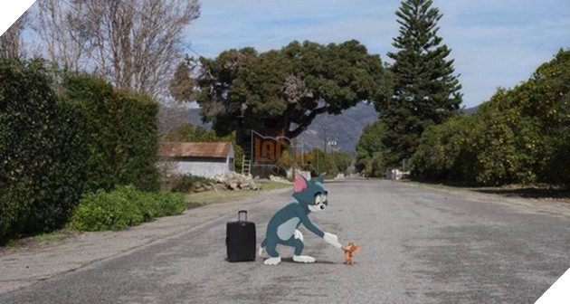 Tom & Jerry bản live-action: Vì sao fan Việt chê giả trân còn cộng đồng quốc tế lại đồng lòng đón nhận? 2