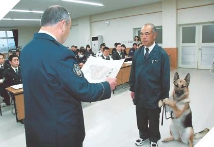 Chú chó nghiệp vụ cực giỏi được tuyên dương nhận thưởng nhưng lại xấu hổ bám chủ mãi không buông 2