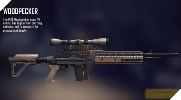 Free Fire: Đâu là khẩu súng nào mạnh nhất trong từng dòng? 3