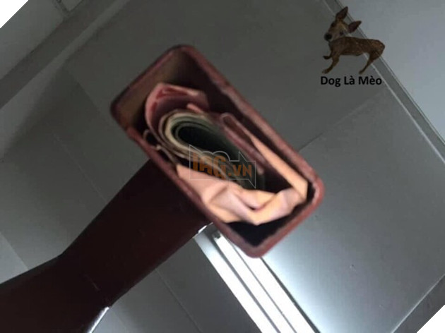 Thấy mèo cưng cào nắm tay cầu thang, vợ vô tình phát hiện bí mật động trời của chồng Ảnh 4