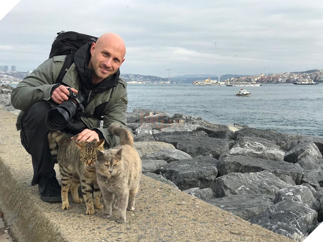 Cư dân mạng như tan chảy với loạt ảnh lũ mèo hoang cực kì hiền lành và thân thiện 13