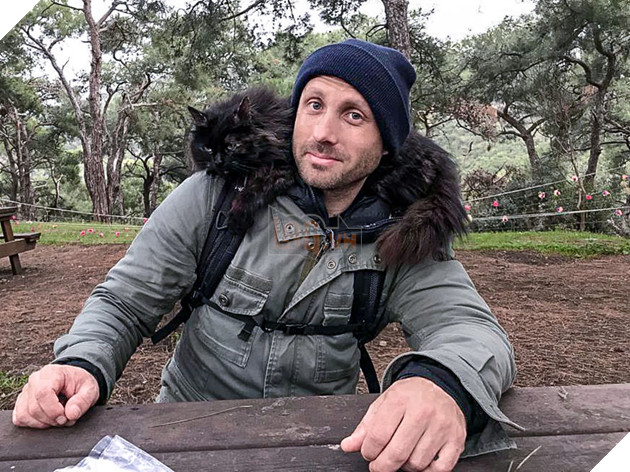 Cư dân mạng như tan chảy với loạt ảnh lũ mèo hoang cực kì hiền lành và thân thiện