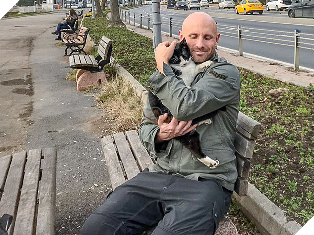 Cư dân mạng như tan chảy với loạt ảnh lũ mèo hoang cực kì hiền lành và thân thiện 14