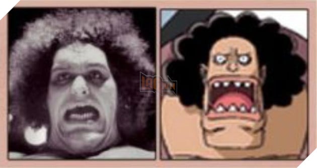 One Piece: sở hữu hơn 1000 nhân vật, hóa ra Oda đã đạo nhái 60 người có thật này! Phần Cuối  5