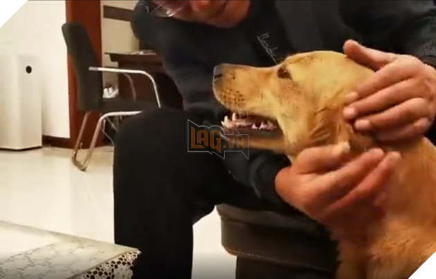  
Chú chó vui vẻ khi được đoàn tụ với chủ nhân. (Ảnh: Ettoday)