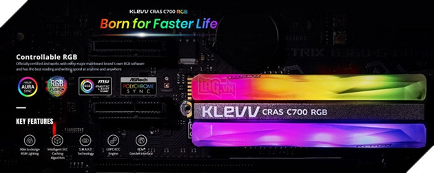 Khải Thiên KTC Co., LTD chính thức trở thành nhà phân phối thương hiệu KLEVV