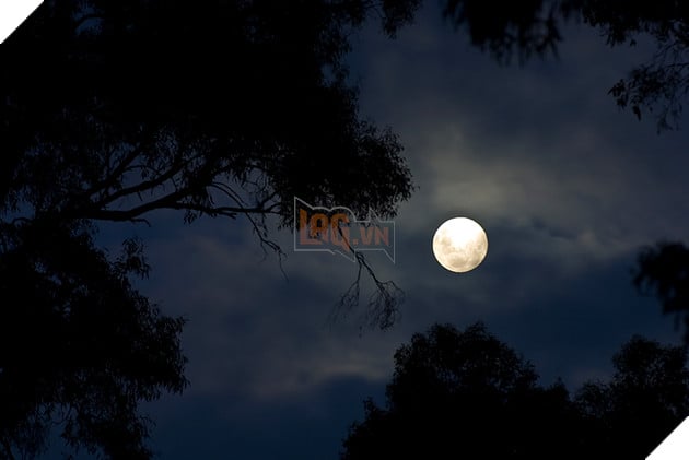 A Poem A Day:: Frosty Moon