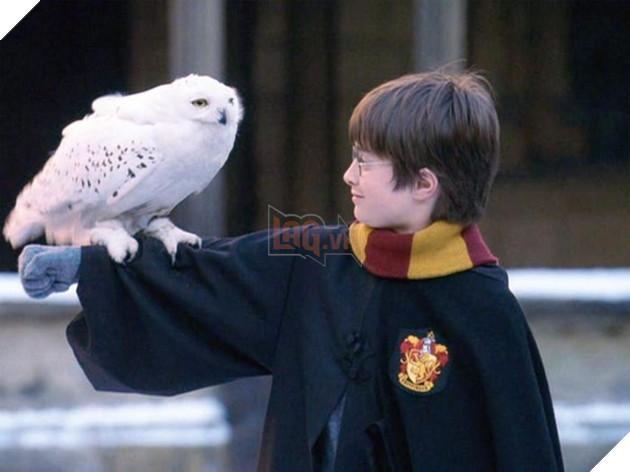 Harry Potter: Những sự thật ít người biết về tựa phim tuổi thơ 6