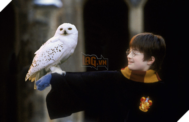 Những Fact siêu thú vị ít người biết về thương hiệu Harry Potter P1  6