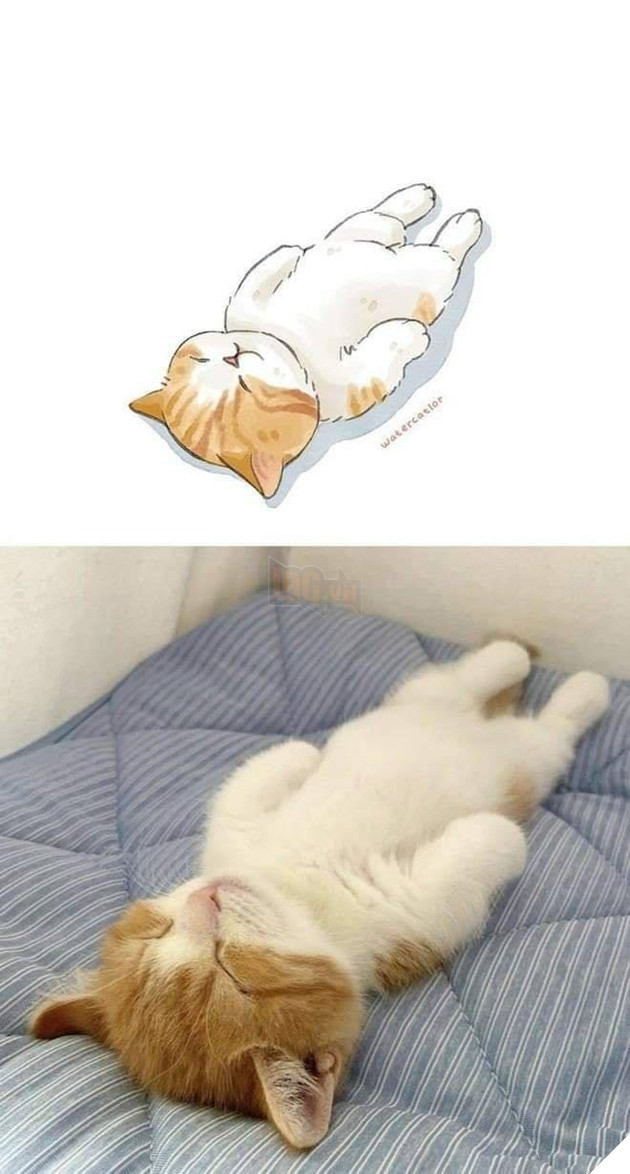 Tranh vẽ và các phiên bản đời thực lầy lội, siêu khó đỡ của các boss P1 