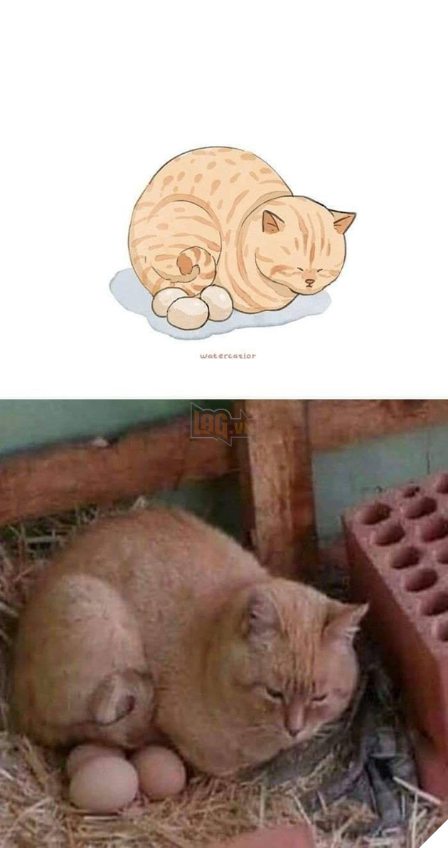 Tranh vẽ và các phiên bản đời thực lầy lội, siêu khó đỡ của các boss P1  8