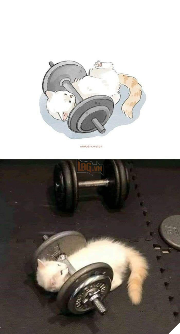 Tranh vẽ và các phiên bản đời thực lầy lội, siêu khó đỡ của các boss P1  23