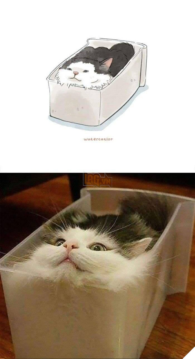 Tranh vẽ và các phiên bản đời thực lầy lội, siêu khó đỡ của các boss P1  24