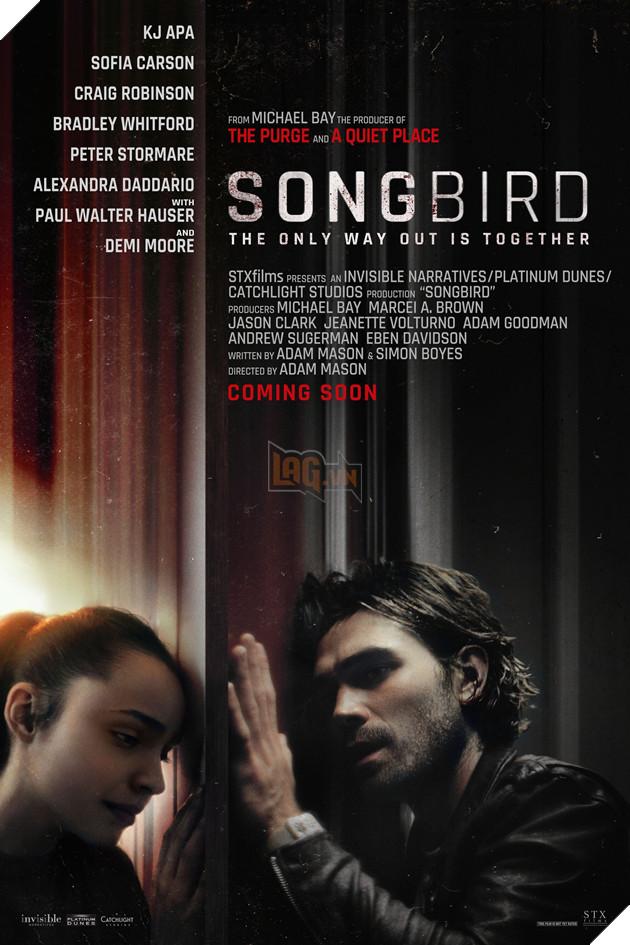 Điểm danh loạt phim tội phạm - giật gân sẽ trình làng trong tháng 12 2