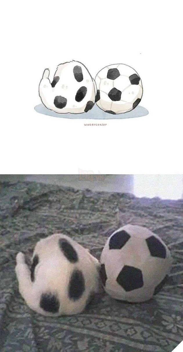 Tranh vẽ và các phiên bản đời thực lầy lội, siêu khó đỡ của các boss P2 