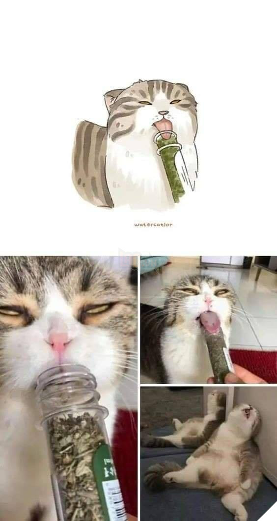 Tranh vẽ và các phiên bản đời thực lầy lội, siêu khó đỡ của các boss P2  4