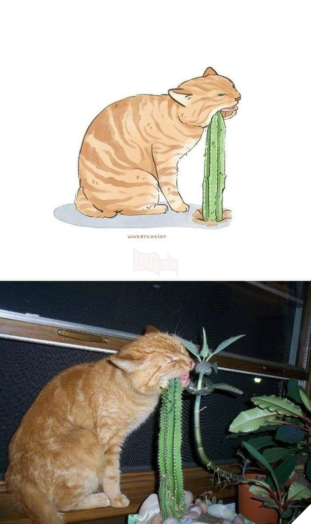 Tranh vẽ và các phiên bản đời thực lầy lội, siêu khó đỡ của các boss P2  9