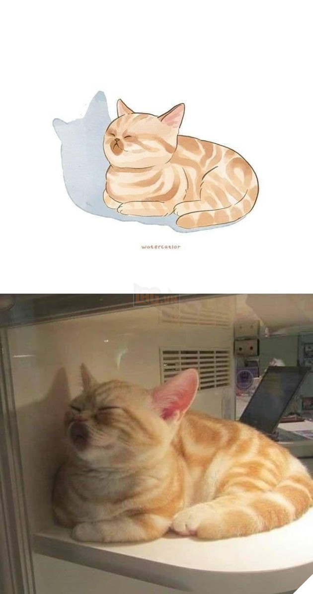 Tranh vẽ và các phiên bản đời thực lầy lội, siêu khó đỡ của các boss P2  11