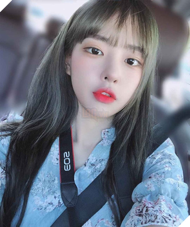 Bị fan cuồng đeo bám, hot streamer trốn khỏi nhà vì sợ hãi 7