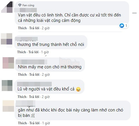  
Cư dân mạng xúc động trước sự trung thành của con vật dành cho chủ. (Ảnh: Chụp màn hình)
