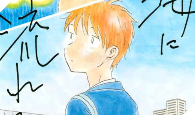 Bảng xếp hạng 50 manga Nhật Bản được yêu thích nhất năm 2020: Quán quân không ai khác chính là...!? 29