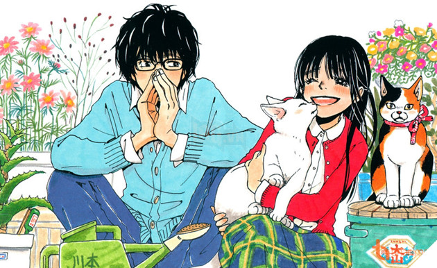 Bảng xếp hạng 50 manga Nhật Bản được yêu thích nhất năm 2020: Quán quân không ai khác chính là...!? 8