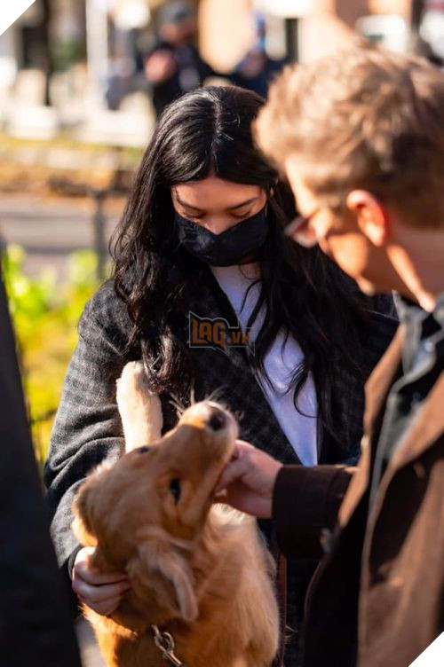 Kẻ chiếm spotlight nhất series Hawkeye đang siêu hot lại là... một chú chó gâu đần ? 4