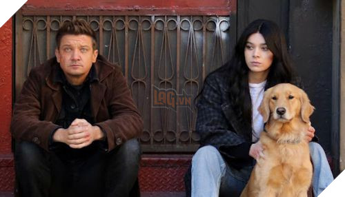 Kẻ chiếm spotlight nhất series Hawkeye đang siêu hot lại là... một chú chó gâu đần ? 6