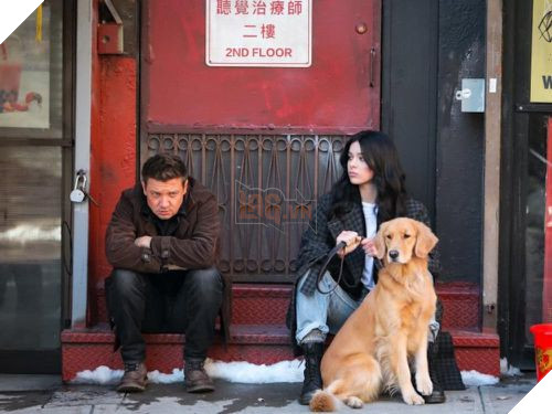 Kẻ chiếm spotlight nhất series Hawkeye đang siêu hot lại là... một chú chó gâu đần ? 5