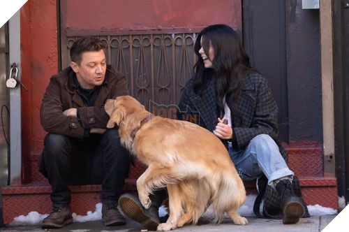 Kẻ chiếm spotlight nhất series Hawkeye đang siêu hot lại là... một chú chó gâu đần ? 3