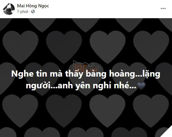 Cả showbiz Việt bàng hoàng đau đớn trước thông tin nghệ sĩ Chí Tài đột ngột qua đời - Ảnh 8.