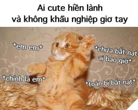 Ai cute hiền lành và không khẩu nghiệp giơ tay