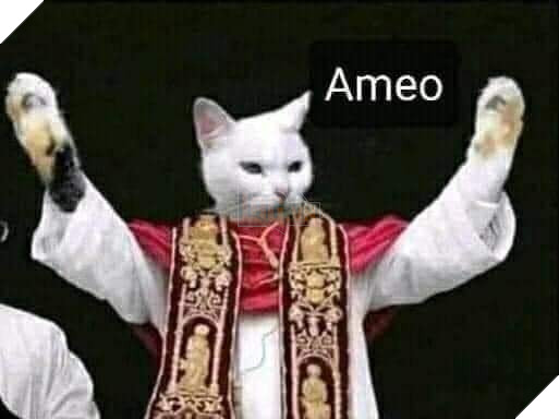 Mèo cha xứ nói ameo - amen