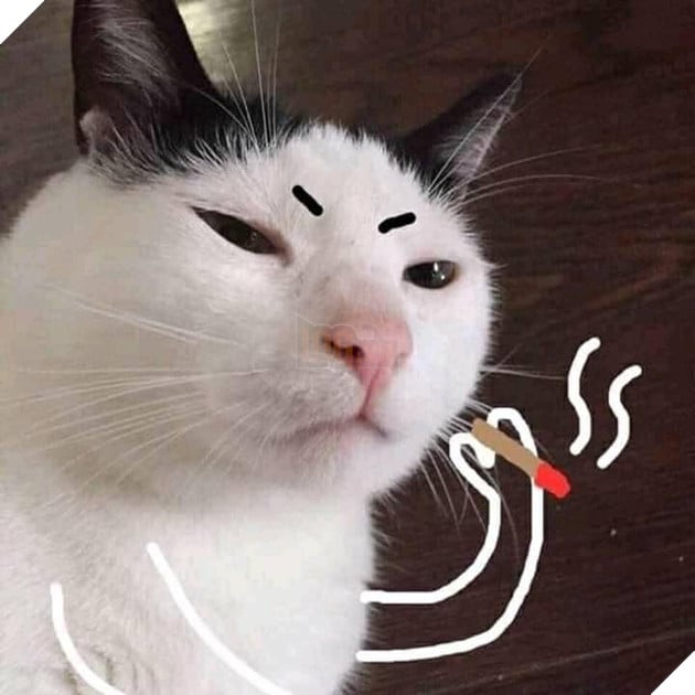 Mèo trắng hút thuốc có khuôn mặt đăm chiêu
