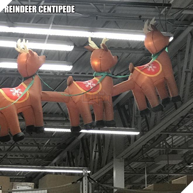 Cạn lời với những màn trang trí Giáng Sinh siêu hack não 5