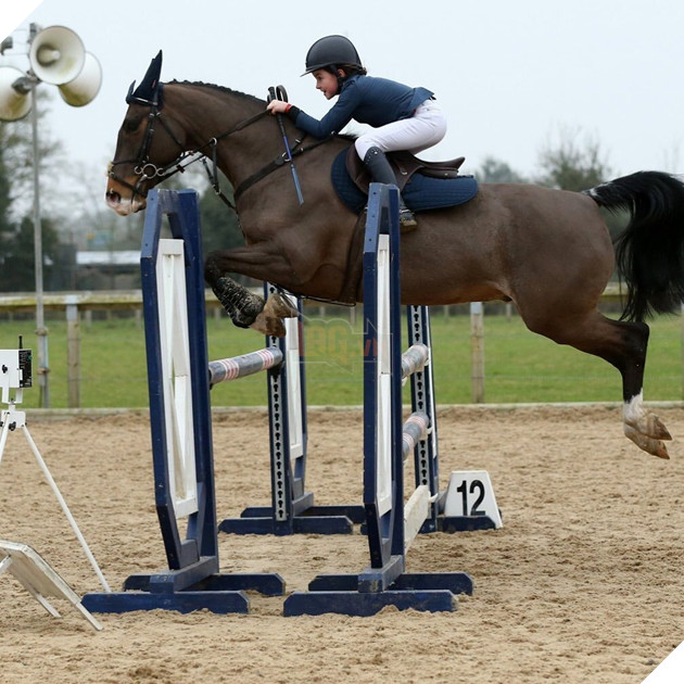 Hé lộ lai lịch đáng ngưỡng mộ của Wonder Woman nhí Lilly Aspell 6