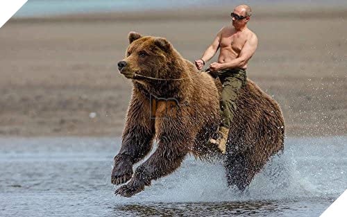 Amazon.com: Innerwallz Vladimir Putin Bears Wall Art, Pop Art, Poster, Art  Prints | Rare Posters: Posters & Prints