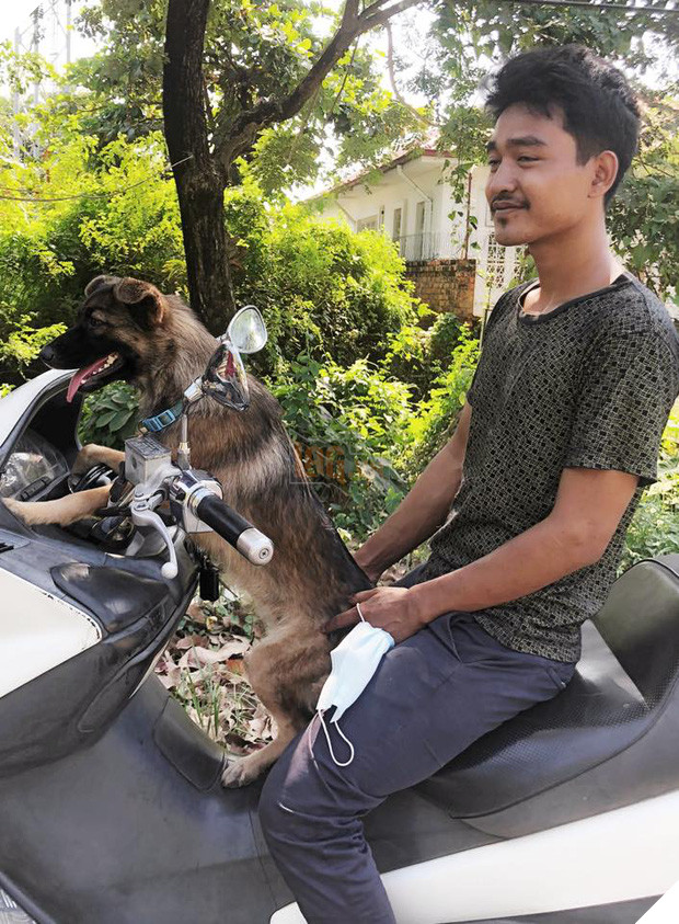 Boss có IQ vô cực: Thấy chân dung in trên tờ rơi tìm chó đi lạc giống mình, bèn ngồi cạnh ung dung chờ sen đến đón - Ảnh 3.