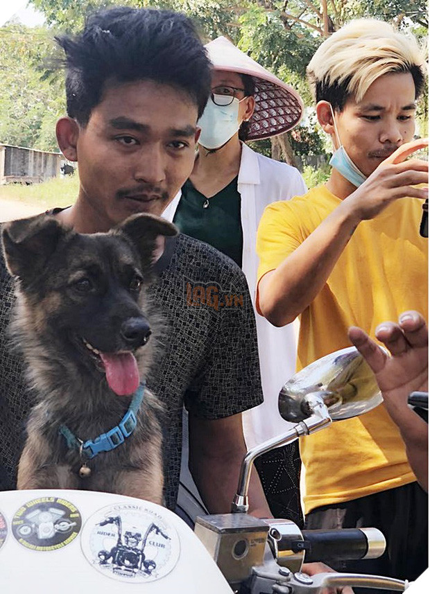 Boss có IQ vô cực: Thấy chân dung in trên tờ rơi tìm chó đi lạc giống mình, bèn ngồi cạnh ung dung chờ sen đến đón - Ảnh 2.