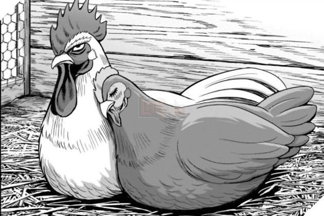 Review Nóng: Niwatori Fighter - Cự Kê Chiến Ký - Khi gà trống làm anh hùng đi giết quái vật 2