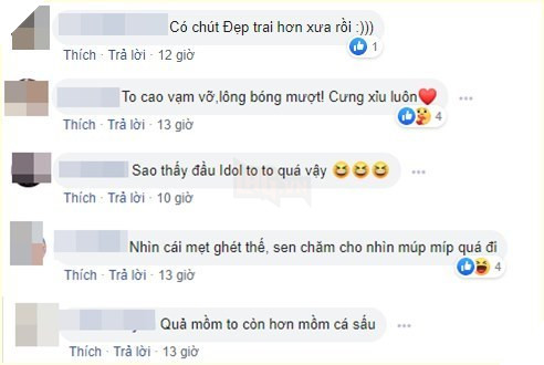  
Cư dân mạng ngạc nhiên trước sự thay đổi của Dúi. (Ảnh: Chụp màn hình)