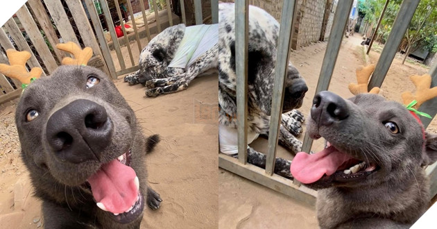  
Nhiều dân mạng cho rằng, dù đã lớn nhưng anh chàng vẫn rất trẻ thơ. (Ảnh: FB Gấu mèo - Nguyễn Văn Dúi)