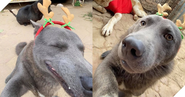  
Vì vui quá, anh chàng làm hẳn 30 tấm hình. (Ảnh: FB Gấu mèo - Nguyễn Văn Dúi)