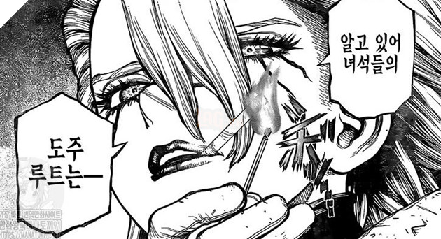 Spoiler Dr.Stone chap 180: Vượt Amazon, Senku đặt chân tới đích đến cuối cùng