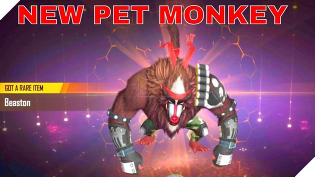 Đăng nhập Free Fire vào 1/1/2021 để nhận phiếu kim cương miễn phí 4