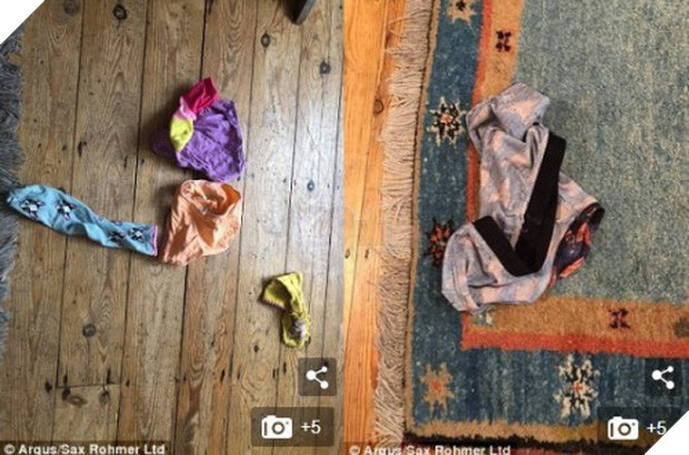 Siêu trộm mèo chuyên lấy... đồ lót từ nhà hàng xóm về tặng chủ - Ảnh 2.