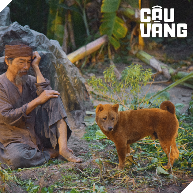 Review Cậu Vàng: Tác phẩm nâng tầm văn học hiện thực phê phán Việt Nam