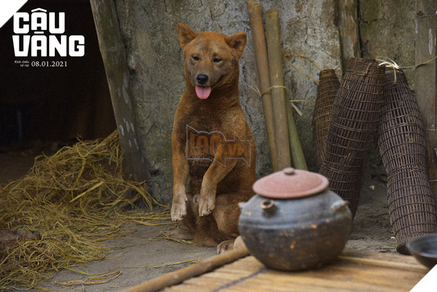 Review Cậu Vàng: Tác phẩm nâng tầm văn học hiện thực phê phán Việt Nam 2